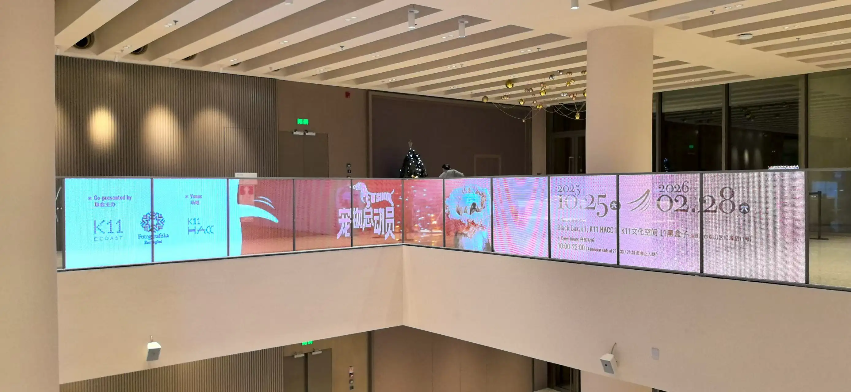 Window Displays case showcase